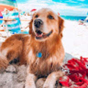 Meet your Posher, Avery